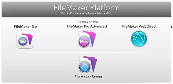 FileMaker Product lineup