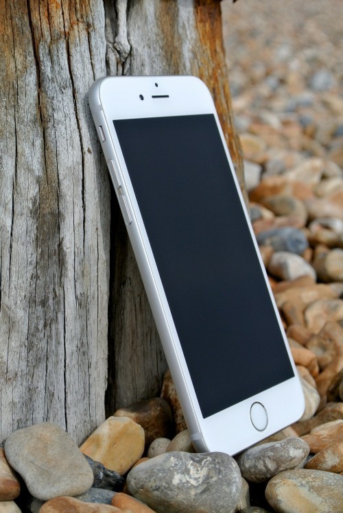 iPHone 6 leaning against a tree