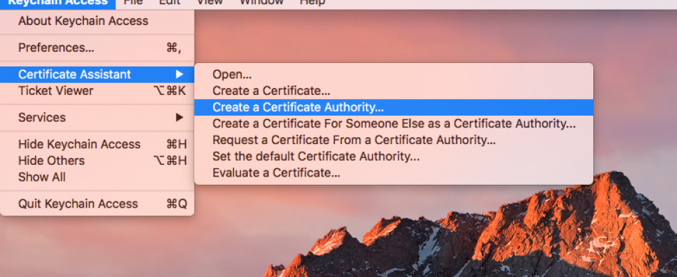 Creating Your Own SSL Certificate